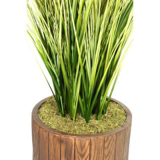 Laura Ashley Home Tall Onion Grass with Twigs in Fiberstone Planter