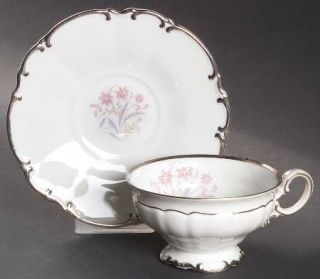 Hutschenreuther Rondo, The Footed Cup & Saucer Set, Fine China Dinnerware   Pink