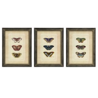 IMAX Butterfly Collection Wall Art (Set of Three)