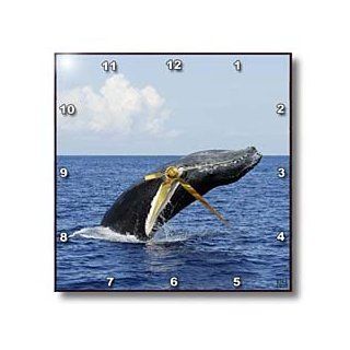 3dRose dpp_10715_1 Wall Clock, Humpback Whale, 10 by 10 Inch  