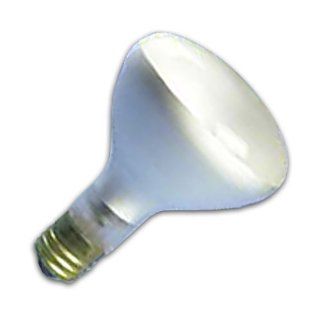 750R52   750 Watt R52 Incandescent Flood Light Bulb    