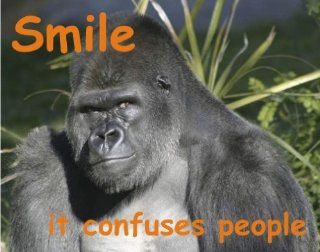 Smile It Confuses People Quote Poster Peel And Stick   Prints