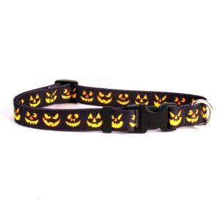 Yellow Dog Design Cat Collar, Jack O' Lantern  Pet Collars 