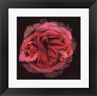Profusion Framed Art by Harold Feinstein, Size 14.5 X 14.5   Prints