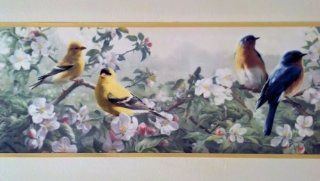 Wallpaper Border Yellow Edge Floral Flowers, Birds, Cardinals, Blue Jay Bird    