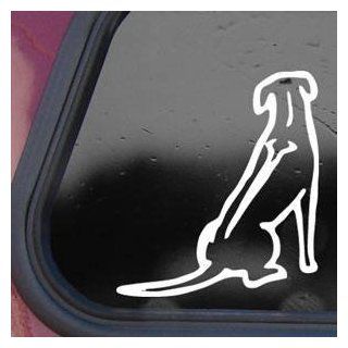 Rhodesian Ridgeback Dog White Decal Sticker Laptop Die cut White Decal Sticker Automotive