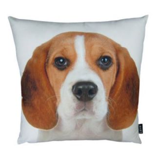 Beagle 18 x 18 Pillow By Lava   Decorative Pillows