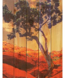 Gizaun Art Desert Tree Indoor/Outdoor Full Color Cedar Wall Art   Outdoor Wall Art