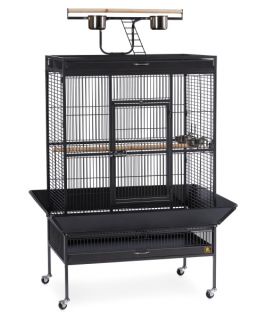 Prevue Pet Products Select Wrought Iron Large Parrot Cage 3154   Bird Cages