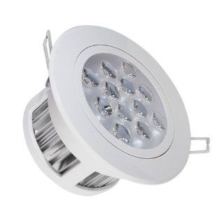 LED Energy Saving Flush fitting Ceiling Light 12W (130W Halogen Equivalent) 110 240V Warm White   Directional Spotlight Ceiling Fixtures  