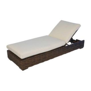 Lloyd Flanders Contempo Pool Chaise Lounge