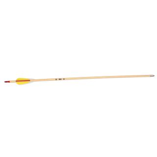 Bear Bow 24 in. Vaned Arrow   72 Pack   Youth Archery