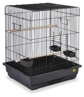 Prevue Pet Products Square Roof Parrot Cage   Black   25217   Bird Cages