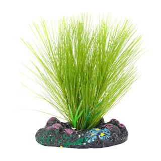 Penn Plax Betta Silk Plant   Hair Grass   Aquarium Plants & Decorations
