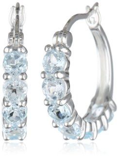 Sterling Silver Genuine African Amethyst Hoop Earrings (0.8" Diameter) Jewelry