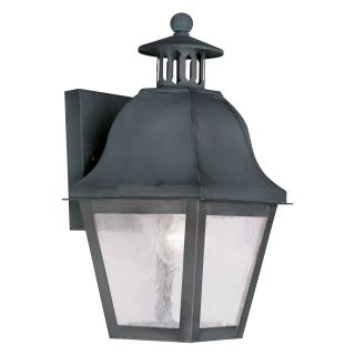 Livex Amwell 2550 61 1 Light Outdoor Wall Lantern in Charcoal   Outdoor Wall Lights