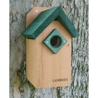 Songbird Essentials Bluebird Green Roof   Bird Houses