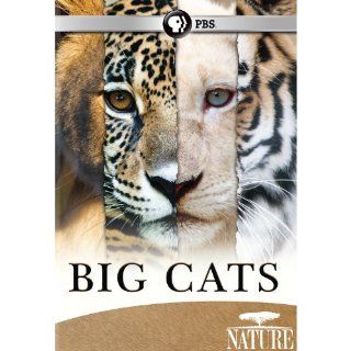 Nature Big Cats Set Nature Movies & TV