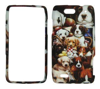 Puppies Faceplate Protector Hard Case for Motorola Droid 4xt894 Cell Phones & Accessories