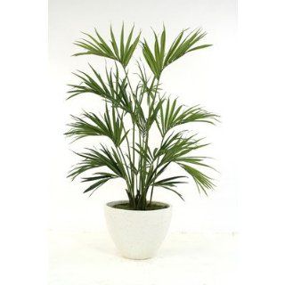 72" Kentia Palm in Textured Oval Concrete Lite Tapered Planter   Artificial Trees