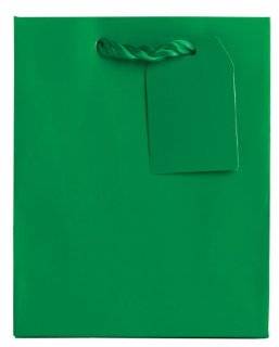 Jillson Roberts Small Gift Bag, Green Matte, 12 Count (ST913)  Gift Wrap Bags 