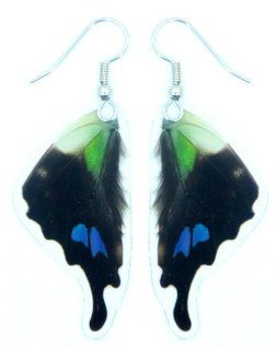 Real Butterfly Wing Earrings   Graphium Weiskei Bottom Wing Dangle Earrings Jewelry