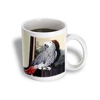 3dRose African Grey Parrot Mug, 11 Ounce Kitchen & Dining