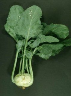 50 HEIRLOOM Early White Vienna Kohlrabi Seeds  Home And Garden Products  Patio, Lawn & Garden