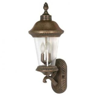 Nuvo 60/965 Arm Up, Wall Lantern with Clear Seed Glass, Platinum Gold, Large   Wall Porch Lights  