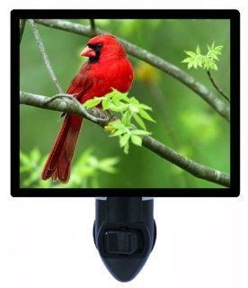 Bird Night Light   Cardinal   Redbird on Branch LED NIGHT LIGHT  