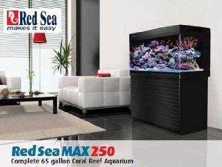 Red Sea Fish ARE40130 Max 250 Reef Tank for Aquarium, 66 Gallon, Black  Saltwater Aquarium 