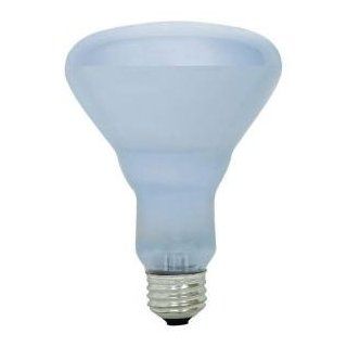 Ge Reveal 65 watt Br30 Incandescent Flood Light Bulb (2 pack)    