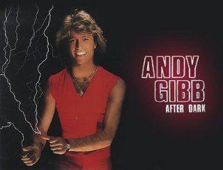 Andy Gibb ~ After Dark LP Music