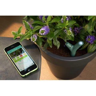 Parrot Flower Power   Wireless Indoor/Outdoor Bluetooth Smart Plant Sensor with Free dedicated App   Green  Players & Accessories