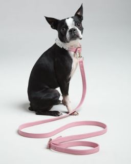 Oscar de la Renta NM + Target Pet Collar & Leash