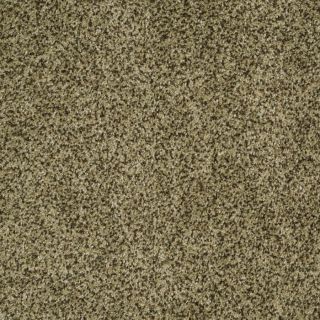 STAINMASTER Trusoft Private Oasis I 12 Verde Fashion Forward Indoor Carpet