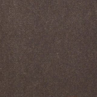 Dynamic 30 Sandy Taupe Cut Pile Indoor Carpet