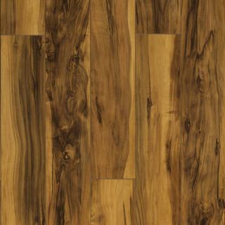 Pergo Max 5 in W x 3.96 ft L Winchester Apple Smooth Laminate Wood Planks