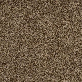 STAINMASTER Trusoft Private Oasis III Supreme Textured Indoor Carpet