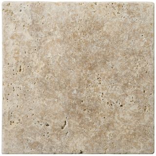 Emser 16 in x 16 in Fontane Walnut Class Unfilled and Tumbled Natural Travertine Floor Tile