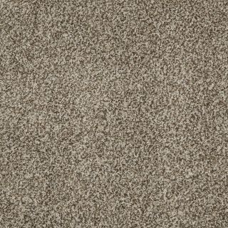 STAINMASTER Trusoft Peaceful Mood I Storm Cloud Textured Indoor Carpet