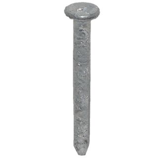 USP 1 lb 11 Gauge 1 1/2 in Hot Dipped Galvanized Smooth Joist Hanger Nails
