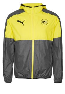 Puma   BVB   Club wear   yellow