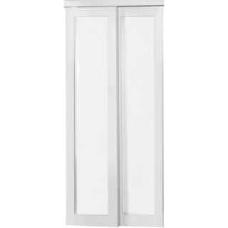 KingStar Full Lite Sliding Door (Common 80.5 in x 48 in; Actual 80 in x 48 in)
