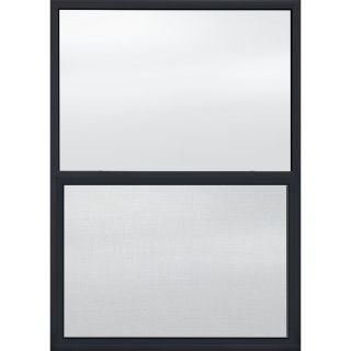 JELD WEN 8100 Series Vinyl Double Pane Replacement Single Hung Window (Fits Rough Opening 52 in x 37 in; Actual 51.875 in x 37.125 in)