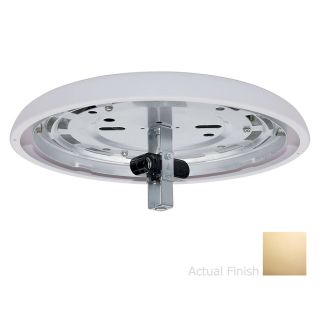 Casablanca 2 Light Bright Brass Ceiling Fan Light Kit with Glass Not Included Glass or Shade