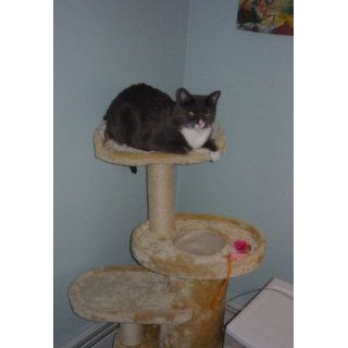 Trixie Oviedo Cat Tree  Cat Posts 