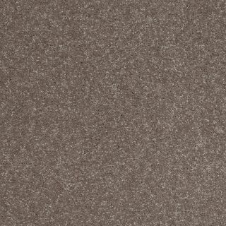Shaw 7L52600704 Brown Textured Indoor Carpet