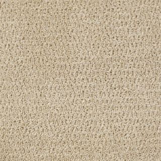 STAINMASTER Active Family Wine and Dine Summer Tan Fashion Forward Indoor Carpet