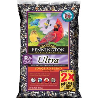 Pennington 7 lb Nut and Fruit Blend Bird Seed